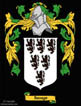 Savage Coat of Arms